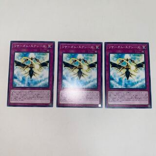 リサーガム・エクシーズ ノーマル JP074