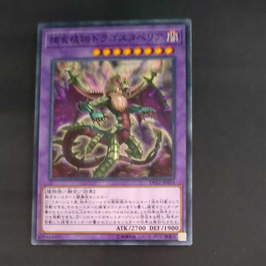 Predaplant Dragostapelia [Mokurindo