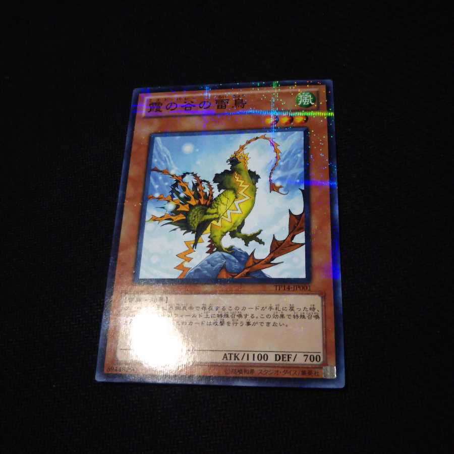 専用出品！霞の谷の雷鳥 ノーパラ