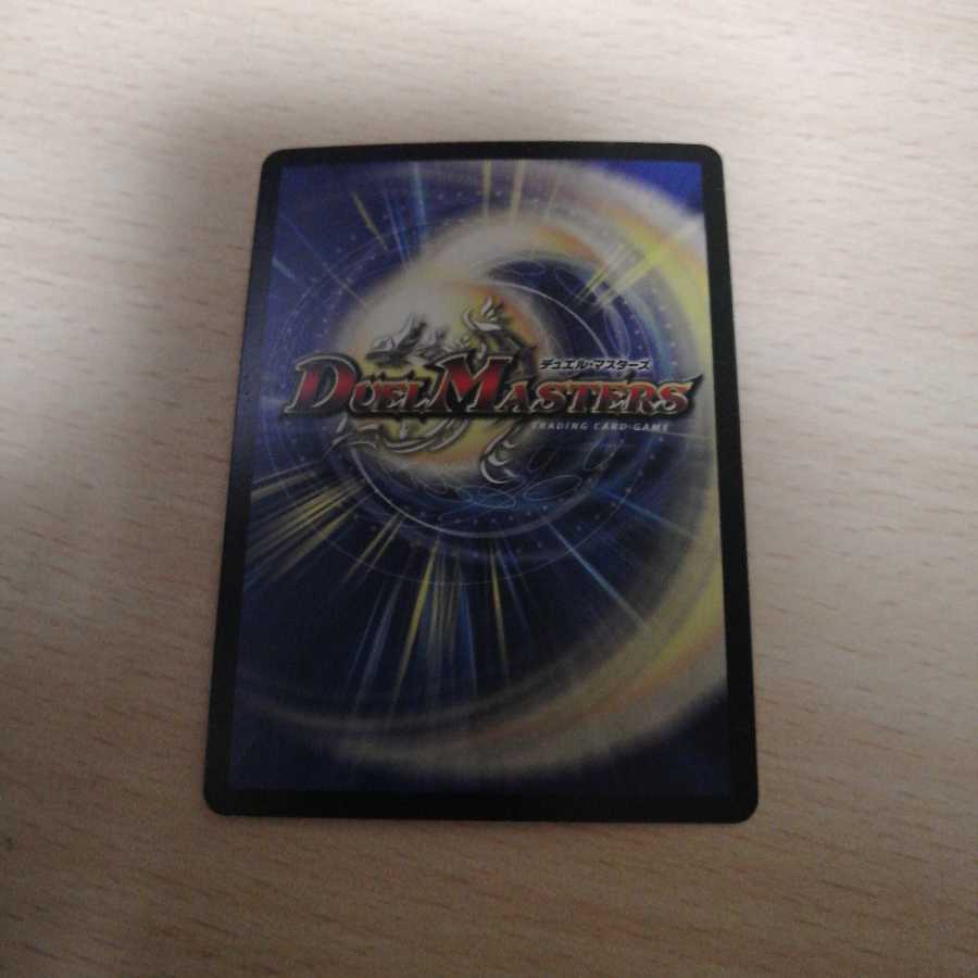 革命類侵略目　パラスキング　パラスラプト　セット