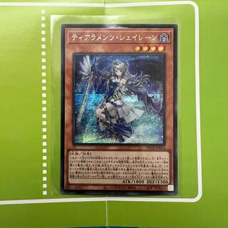 ティアラメンツ・シェイレーン　シク