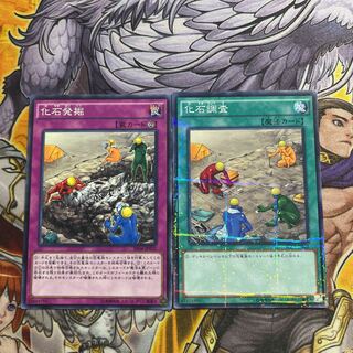 化石調査 パラレル ノーマル