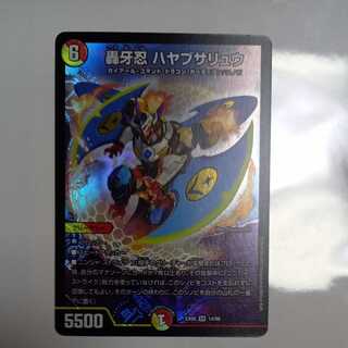 Roaring Fang Shinobi Hayabusa Ryu