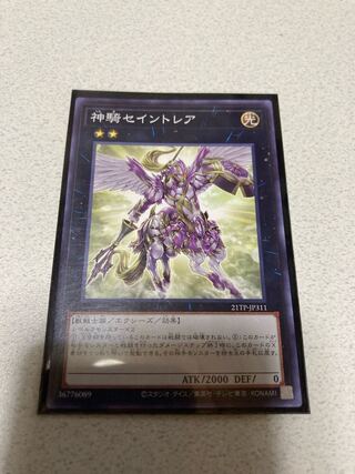 Sky Cavalry Centaurea