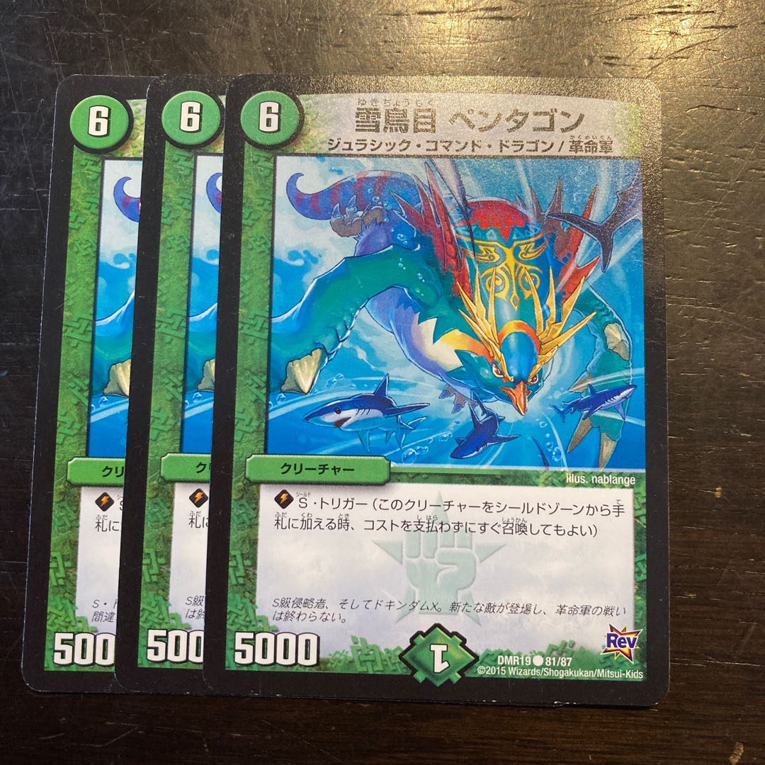 雪鳥目 ペンタゴン