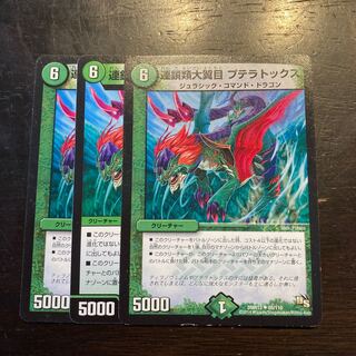 Aerodactyl Toxoplasma (Chaines) Aerodactyl Toxoplasma (Chaines)