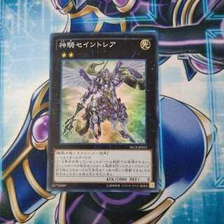 Sky Cavalry Centaurea Super Rare