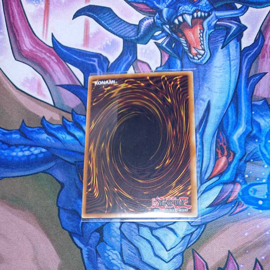 Dragon Rosa de Cheim