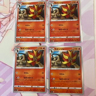 カエンジシ C 4枚