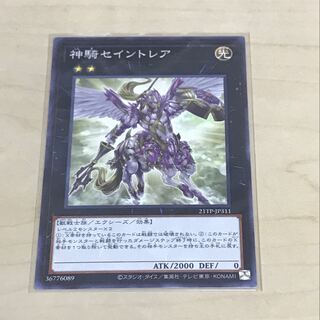 Sky Cavalry Centaurea