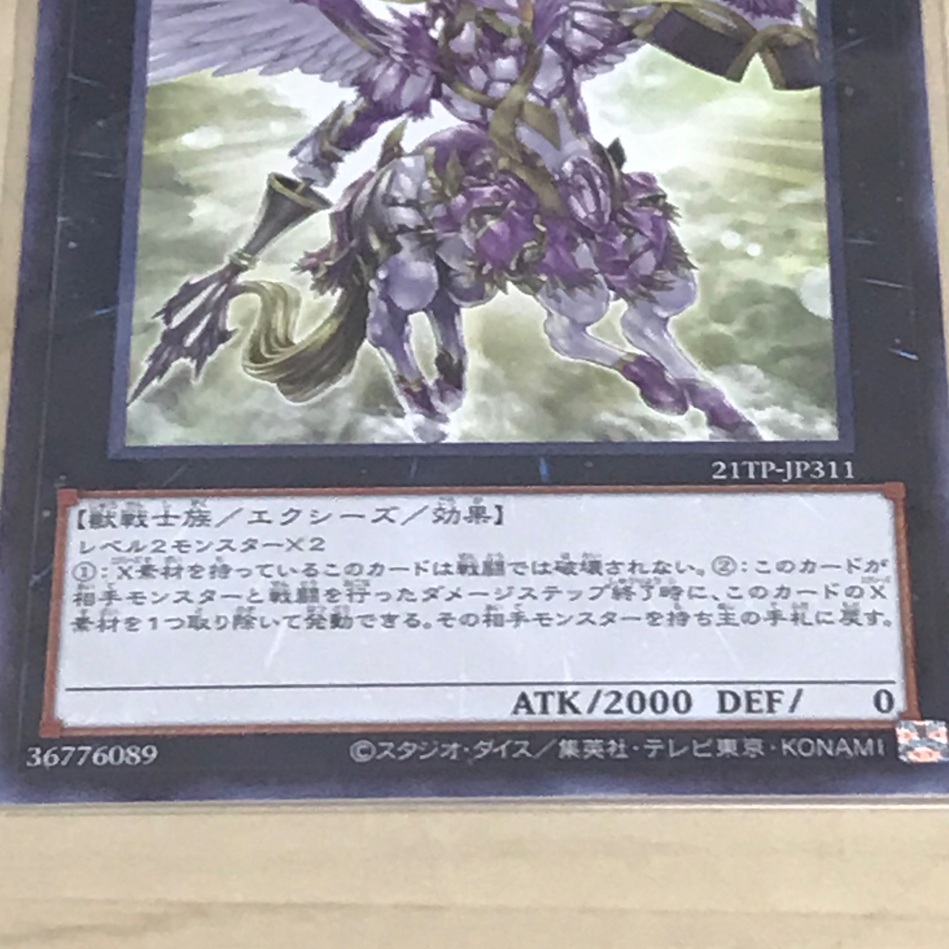 Sky Cavalry Centaurea