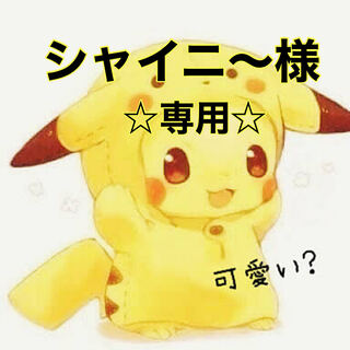 ☆シャイニ〜様専用☆