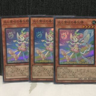 丘と芽吹の春化精　スーパーレア①