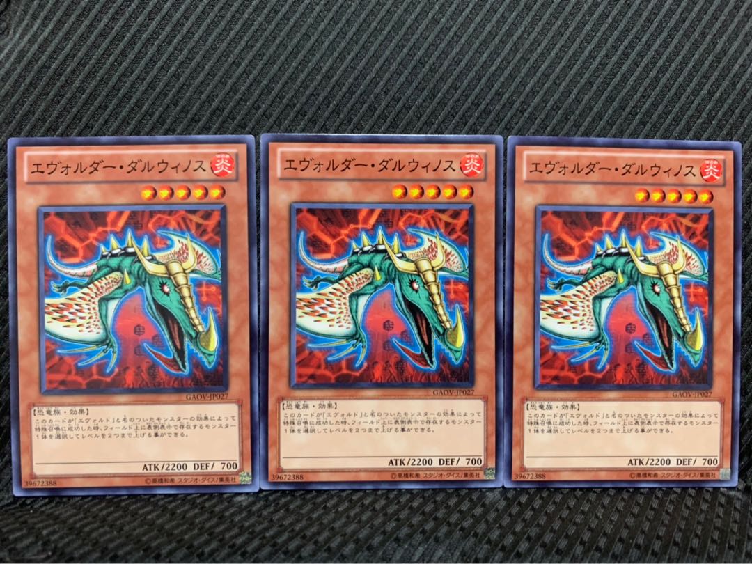 【ぽぽたん】遊戯王 2973 エヴォルダー・ダルウィノス 3枚 ノーマル