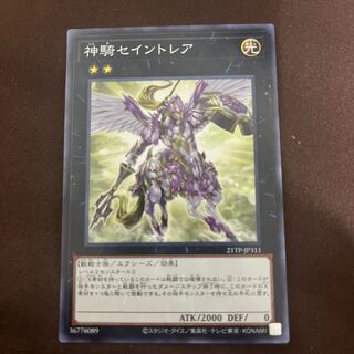 Sky Cavalry Centaurea