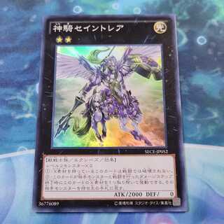 Sky Cavalry Centaurea