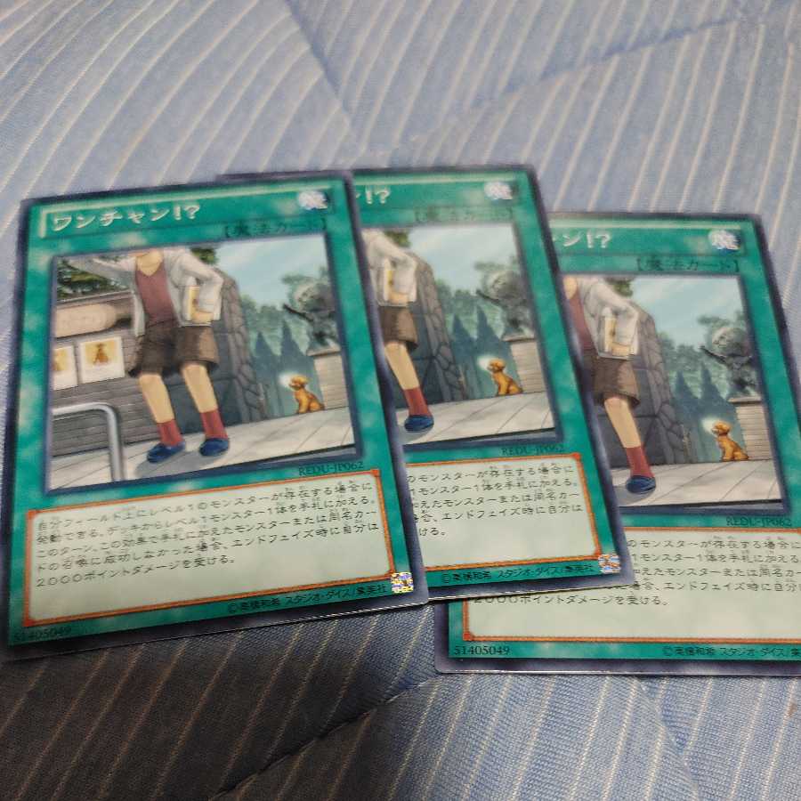 ワンチャン！？ ノーマル　三枚　ワンフォーワン一枚