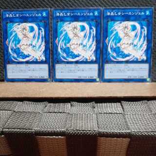 【ぽぽたん】遊戯王  6087  海晶乙女シーエンジェル　ノーマル三枚