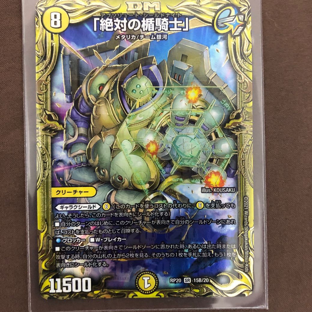 Knight of the Shield of the Absolute."