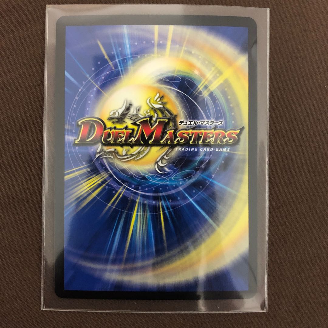 Knight of the Shield of the Absolute."