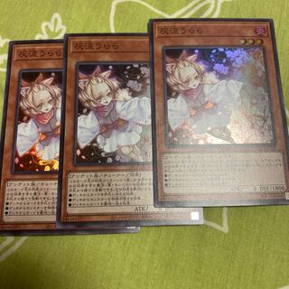 Ash Blossom & Joyous Spring Super Set of 3