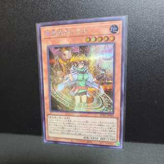 【専用】地霊媒師アウス【シークレット】