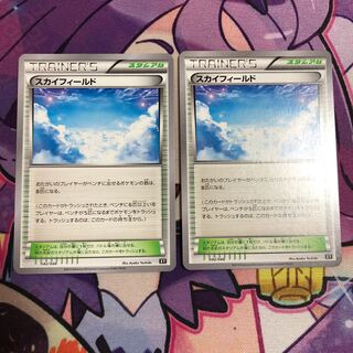 スカイフィールド