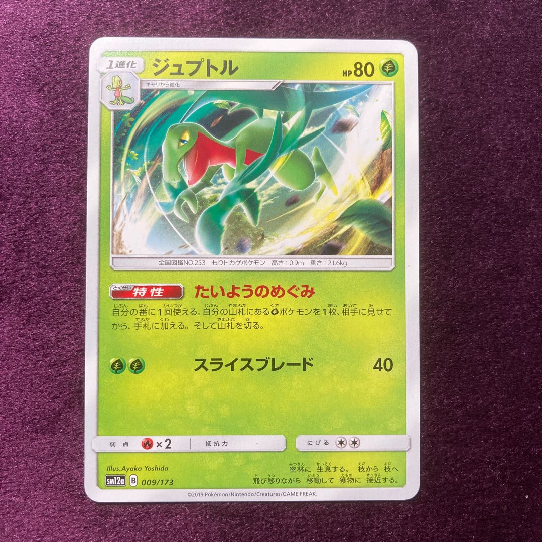 Grovyle Taiyo no Megumi