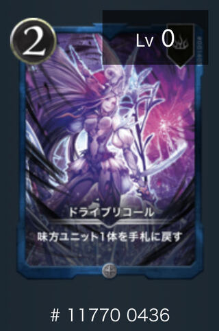 【1018329943様専用】ドライブリコール