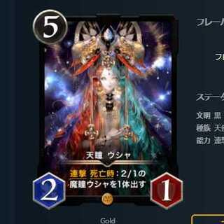 2枚セット 天瞳 ウシャ