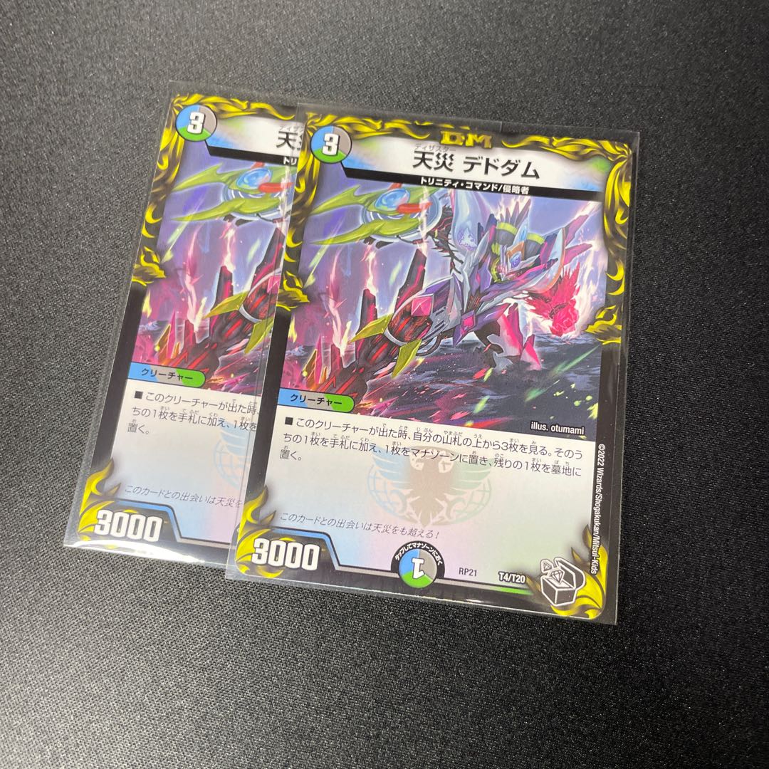 Natural Disaster Dedham Black Treasure