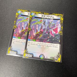 Natural Disaster Dedham Black Treasure