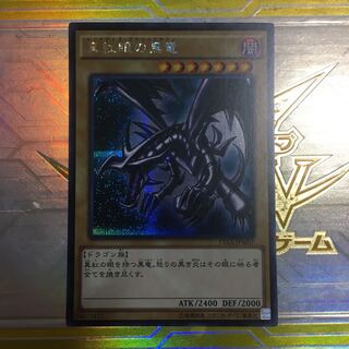 真紅眼の黒竜　シークレット　シク