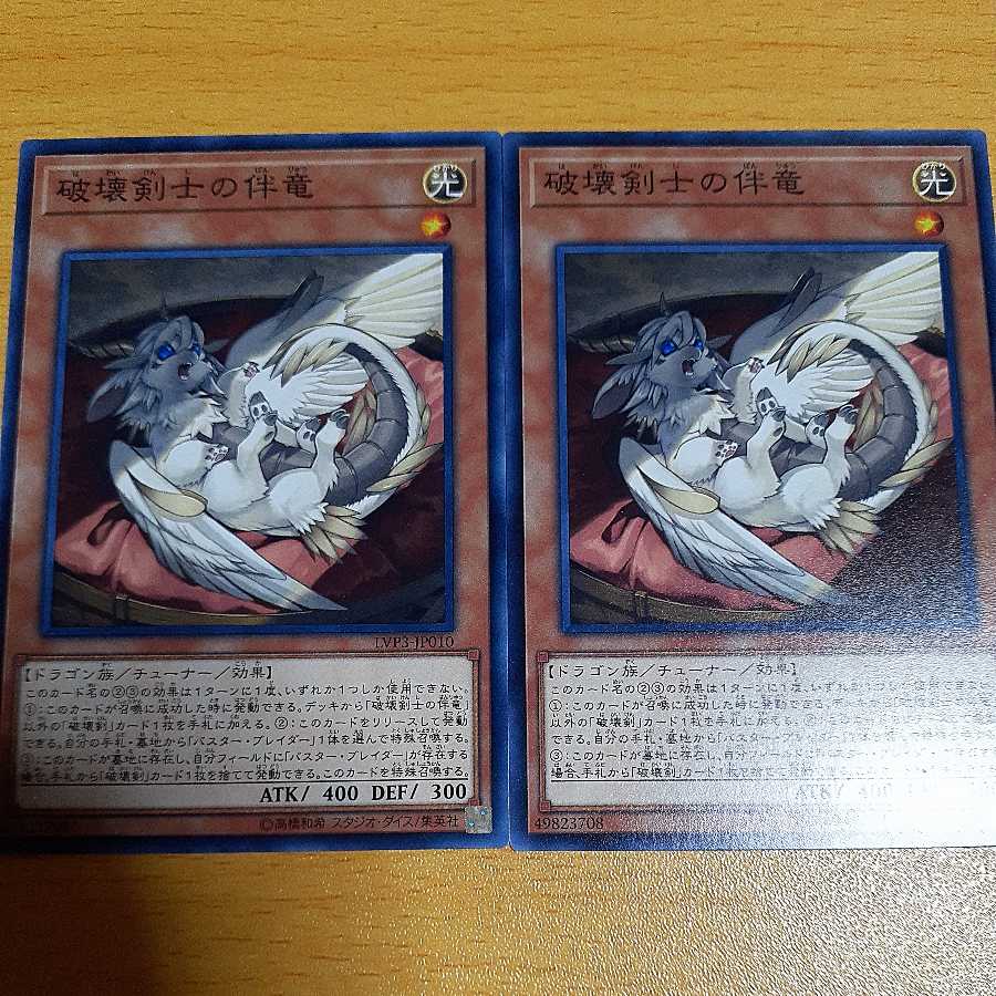 Buster Whelp of the Destruction Swordsman Normal