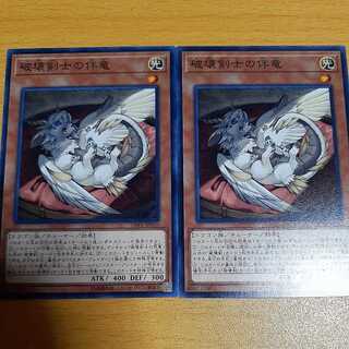 Buster Whelp of the Destruction Swordsman Normal