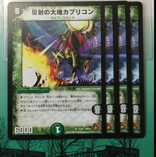 反射の大地カプリコン 反射の大地 カプリコン 四枚