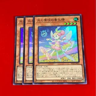 丘と芽吹の春化精  スーパー  3枚