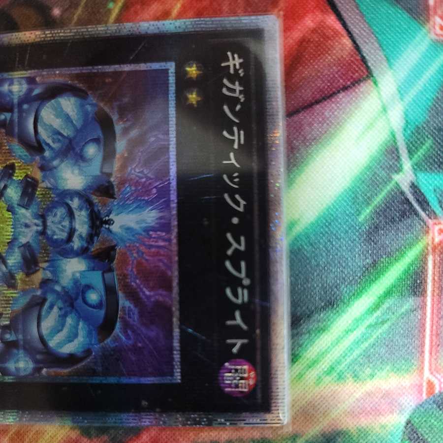 gigantic sprite (Chromis gigantea)