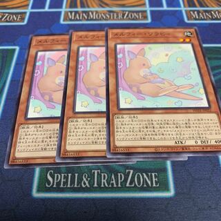 Melfi Wallaby Normal