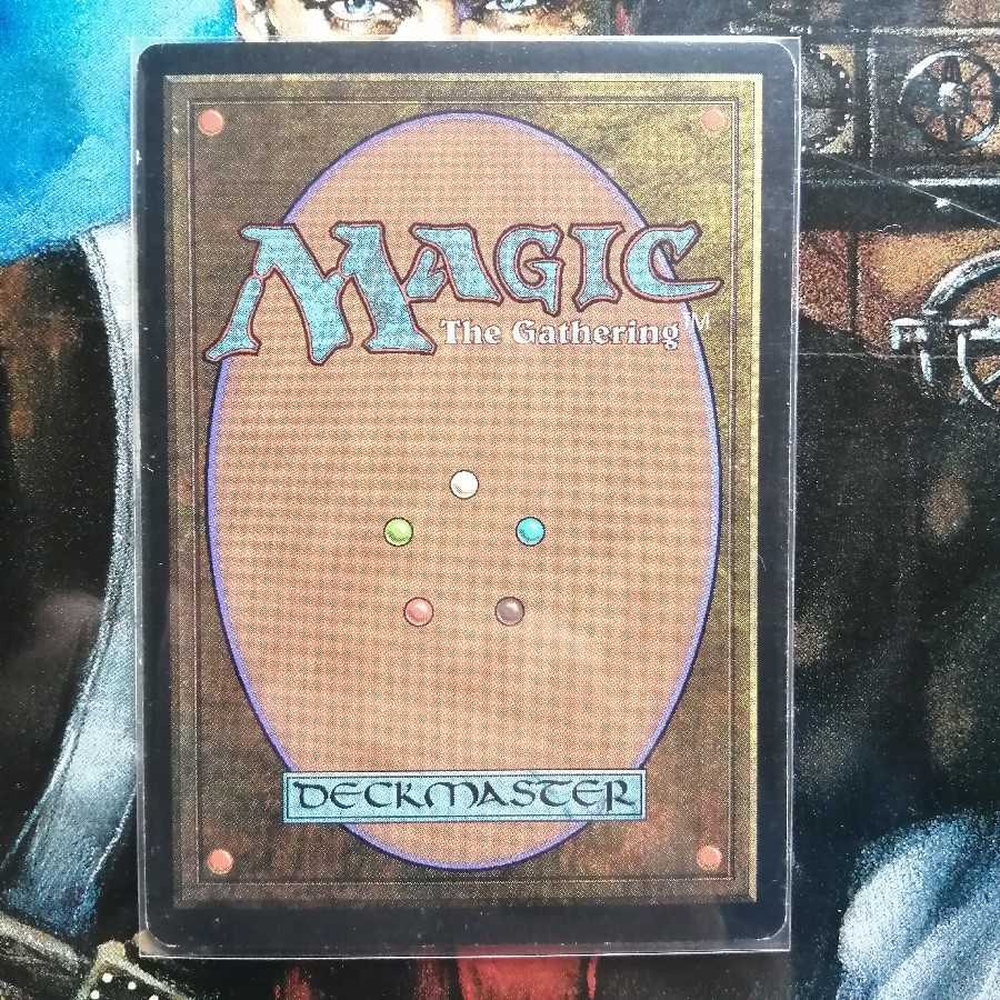 WTH 焦土 日本語