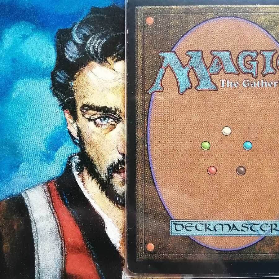 WTH 焦土 日本語