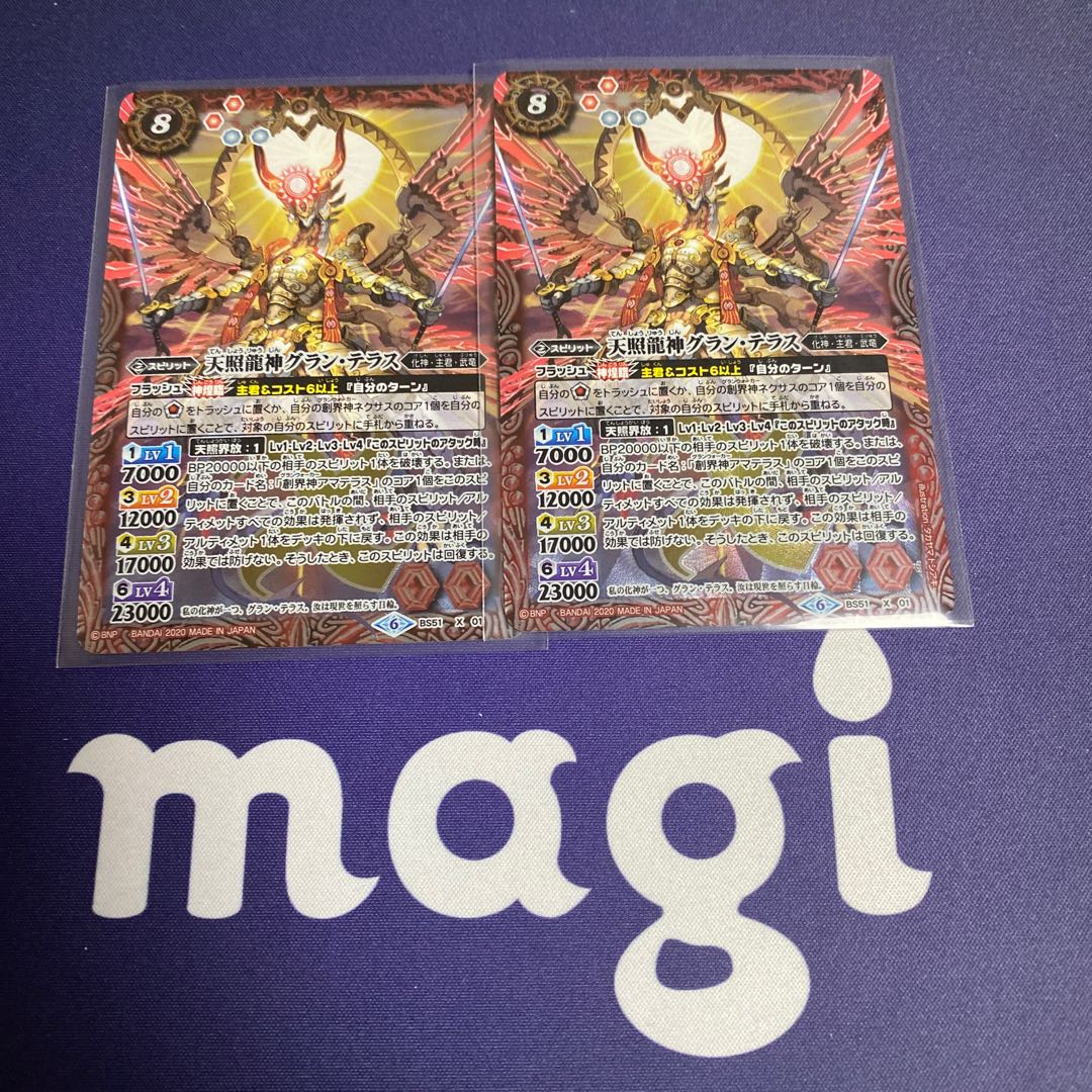 グランテラス2枚 2枚