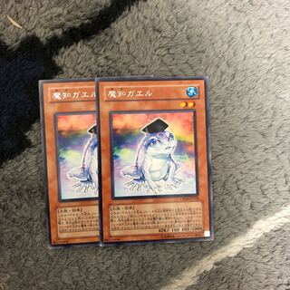 魔知ガエル　2枚