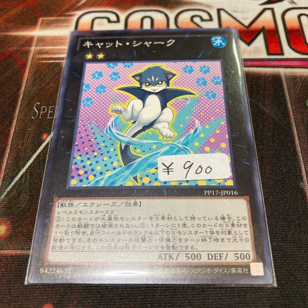 Cat Shark Normal 1 piece