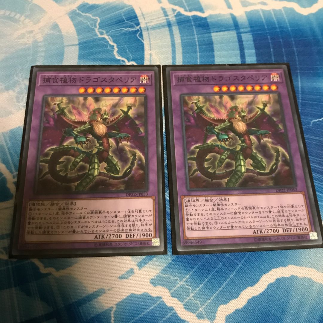 Predaplant Dragostapelia Normal