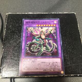 Predaplant Dragostapelia Normal