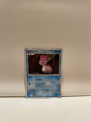 【価格要相談】プロモ　カラナクシ