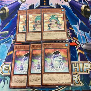 Ronintoadin Maji Frogs, set of 3