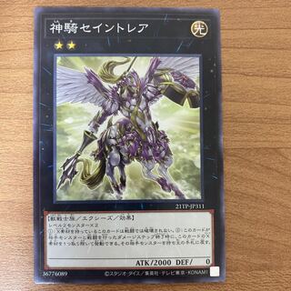 Sky Cavalry Centaurea Normal