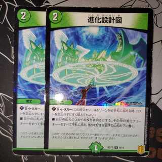 Evolutionary blueprints foil, set of 2